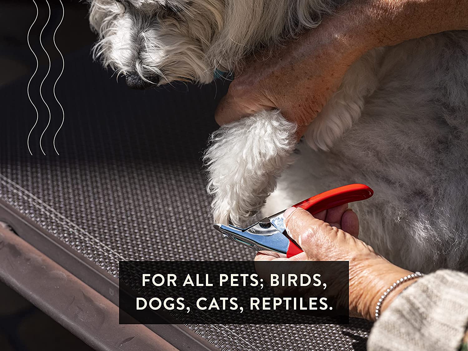 Professional Pedicure Kit for Cats With Guillotine Clipper
