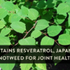 Contains Resveratrol, Japanese Knotweed for Joint Health