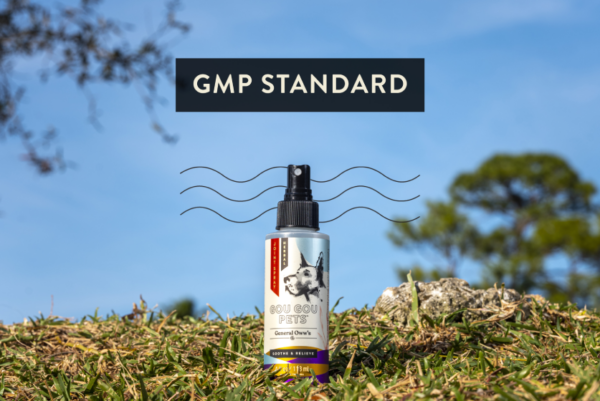 GMP Standard