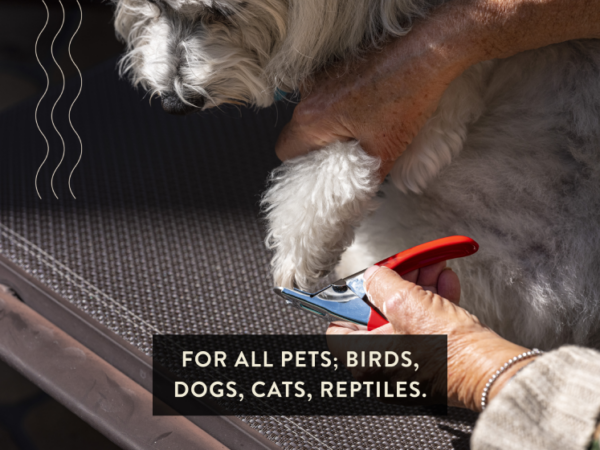 For all pets; birds, dogs, cats, reptiles