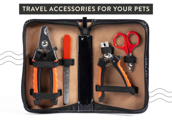 Travel Accessories for your Pets