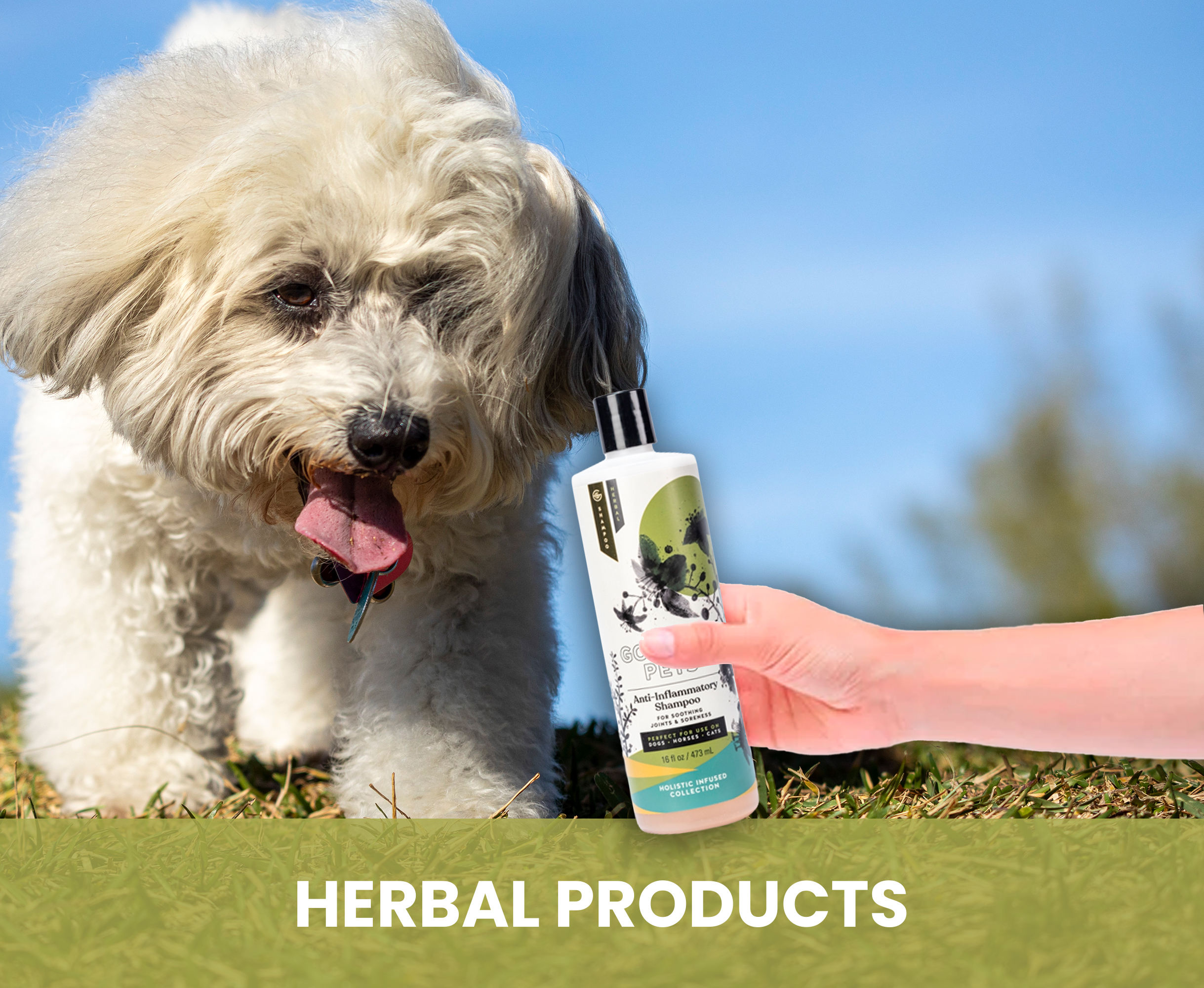 Herbal anti outlet inflammatory for dogs