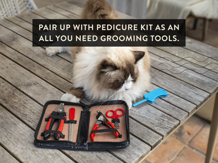  A Cat Sitting Beside a Foldable Grooming Comb and Pedicure Kit