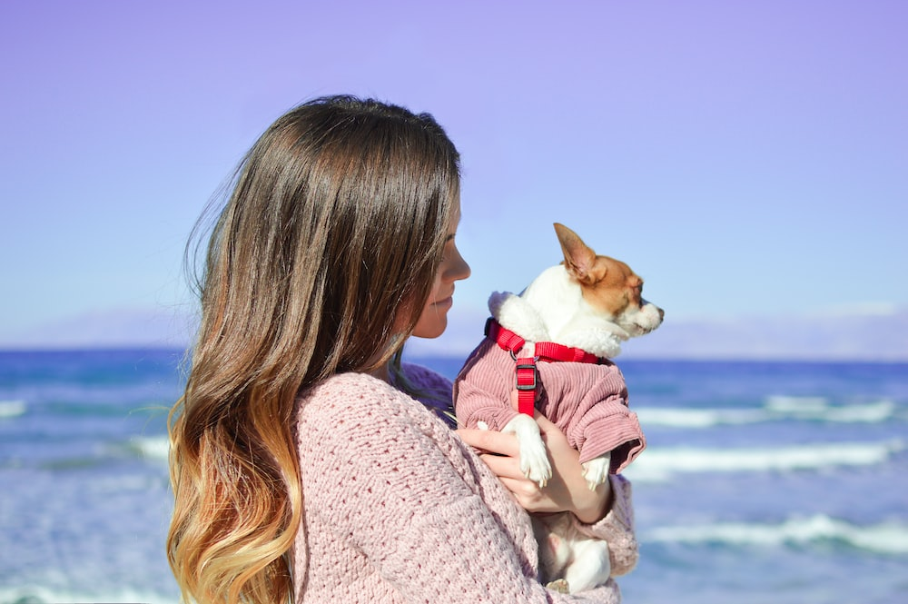 A Woman Carrying a Small Dog While Walking Along the Beach