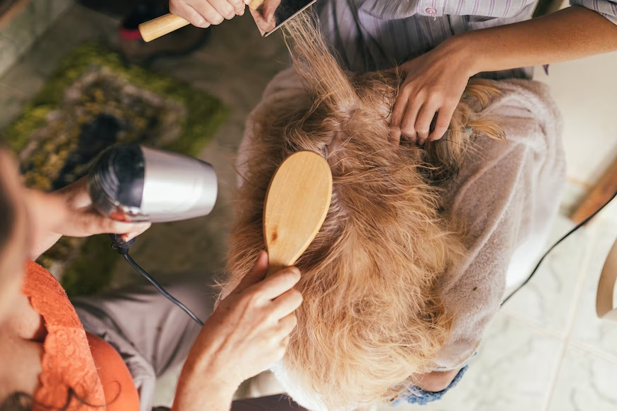 A person drying a dog's hair.