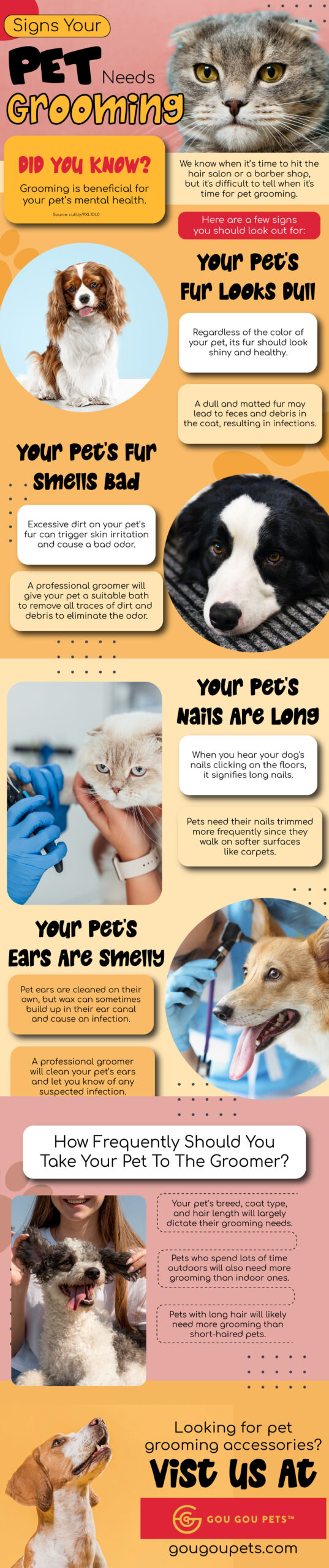 Signs Your Pet Needs Grooming
