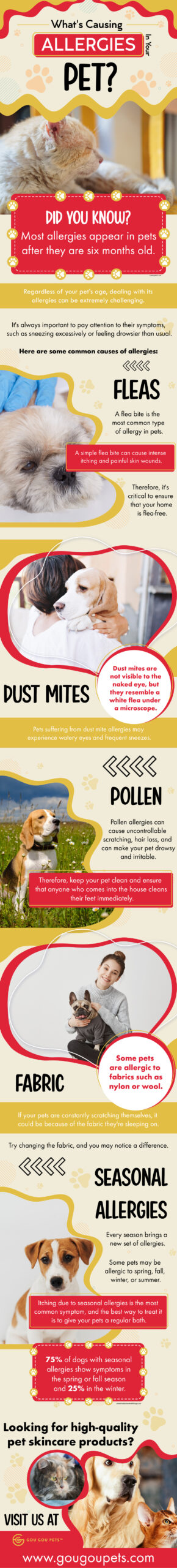 What's Causing Allergies In Your Pet?