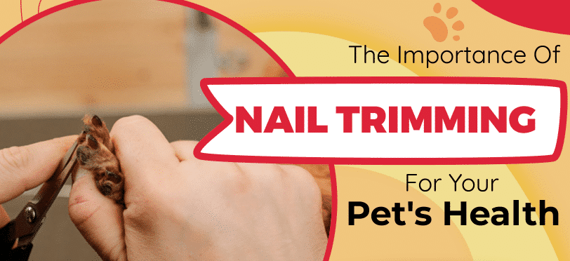 The Importance Of Nail Trimming For Your Pet's Health.