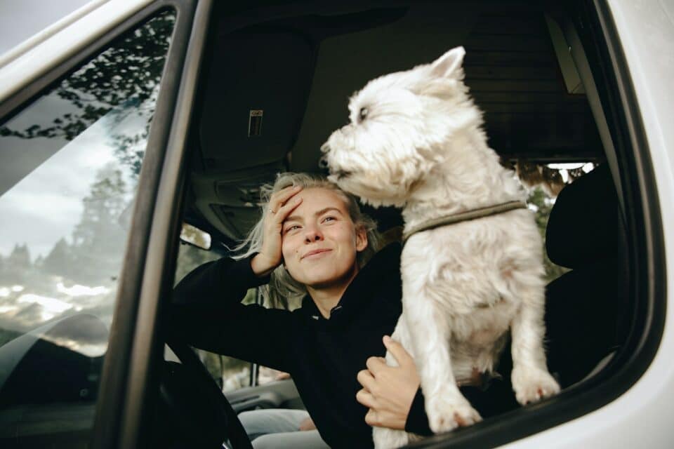 A young girl traveling in a car with her small white dog