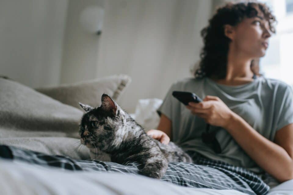 An attentive woman petting her injured cat