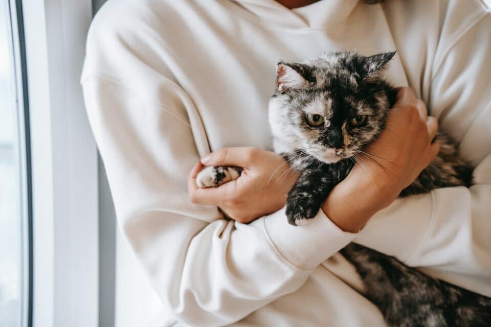 A worried pet owner holding on to her cats paw
