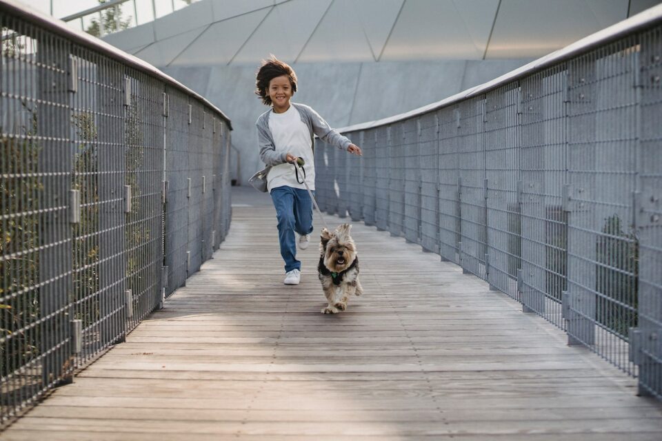 A young child running with a small white dog