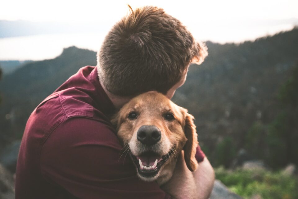 a man hugging a dog