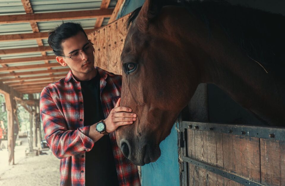 a man petting his horse