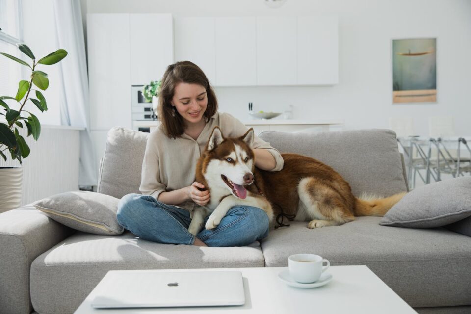A woman sitting on a couch and petting her husky dog