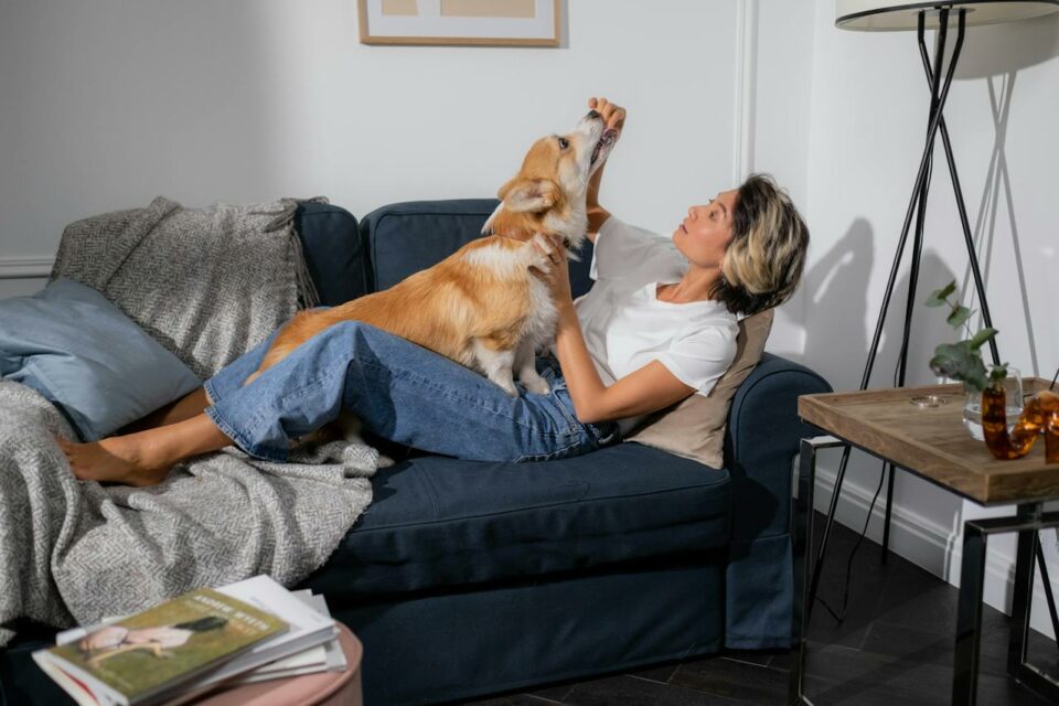 A woman lying on the sofa while feeding a dog