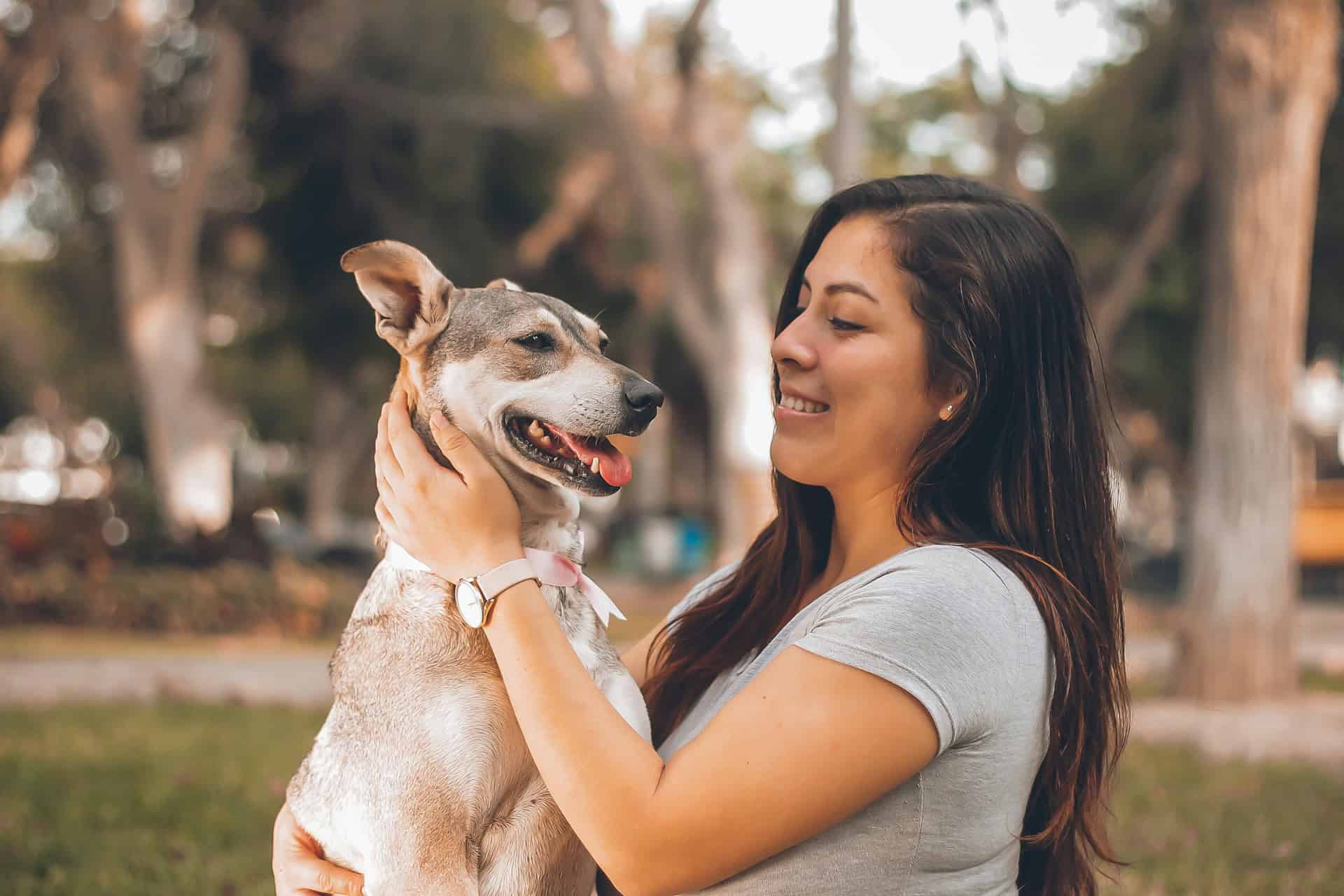 A woman gently soothing a dog