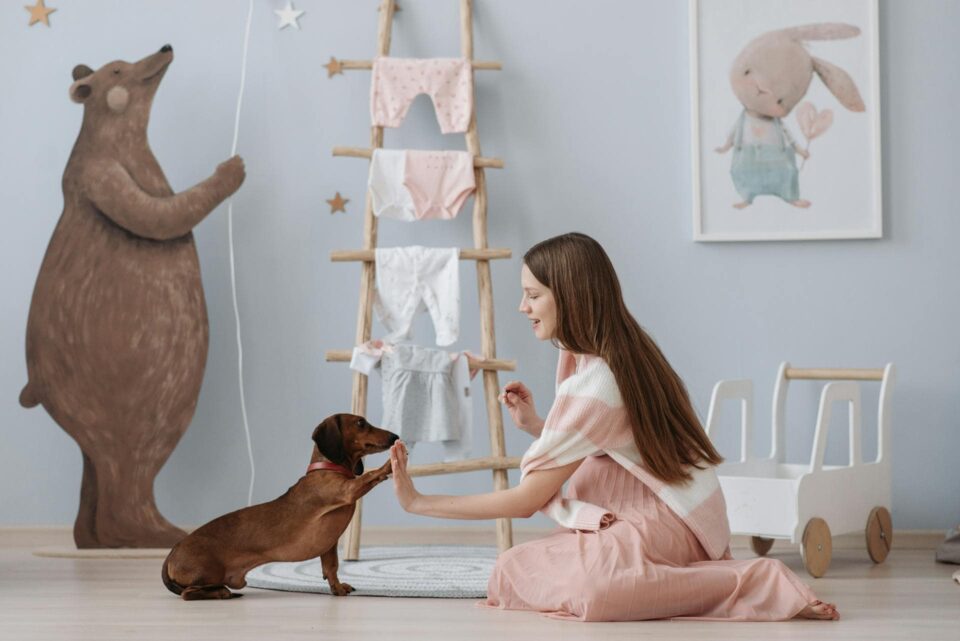 A woman, holding a treat, shares a high-five with the dog