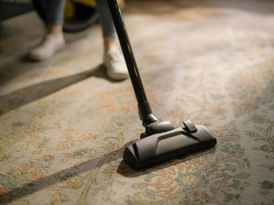 lack vacuum cleaner on an area rug to eliminate fleas