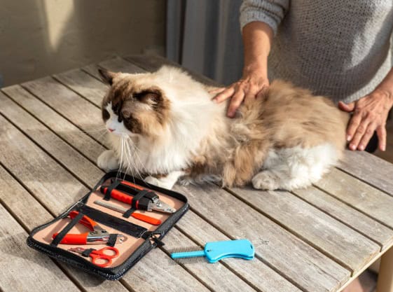 Grooming Kit for Cats