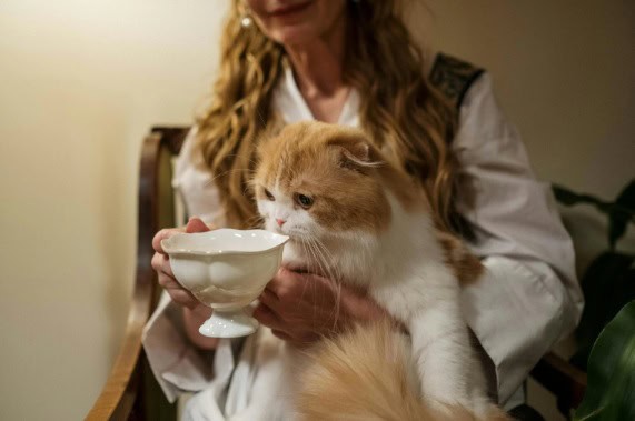 The cat owner encourages her feline companion to drink water, prioritizing the cat's hydration.