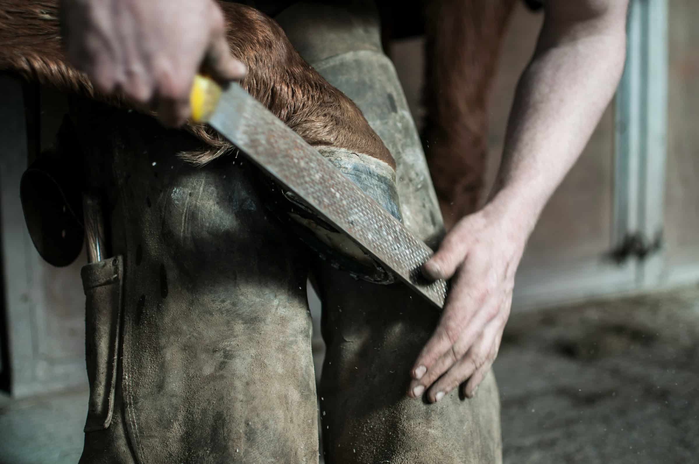 man holding a horse's hoof against his knees and trimming it with a file