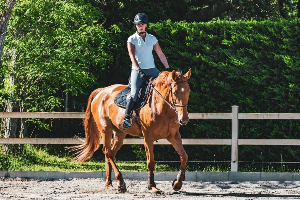 person in white t-shirt riding brown horse during daytime