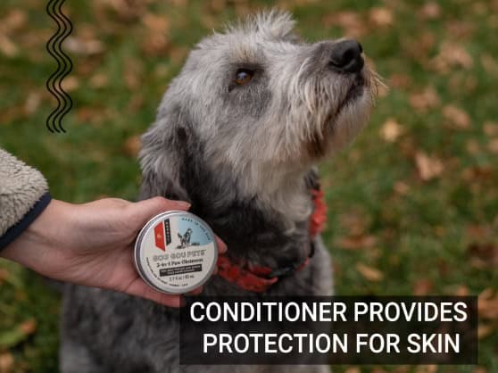 shea butter skin care product for dogs