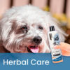 Gou Gou Pets Allergy Shampoo herbal care text and bottle and dog image.