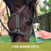 Gou Gou Pets Joint comforting shampoo with horse image and for aging pets text.