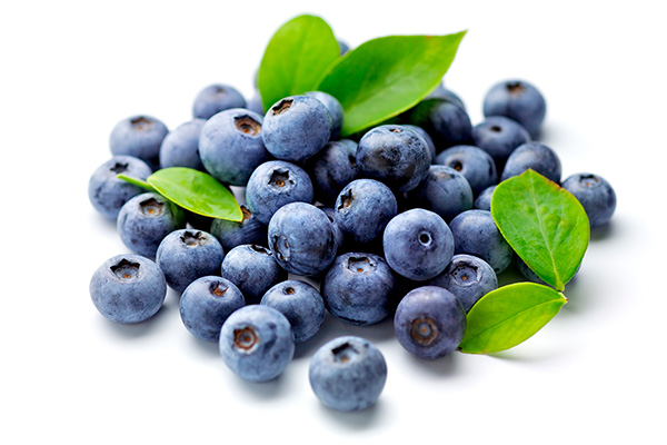 Blueberry Extract