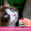 Calming oil Gou Gou Pets with cat and bottle and text that says: East meets west alternative solution.