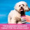 Calming oil image with dog and text that says: For relaxation & calming therapy for the whole family.