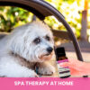 Image with dog and text that says SPA therapy at home.