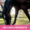 Gou Gou Pets Calming shampoo horse image.