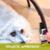 Gou Gou Pets Calming Spray holistic approach