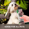 Gou Gou Pets Cherry Blossom Shampoo good for all pets white dog.