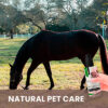 Gou Gou Pet Cherry Blossom Spray Natural Pet Care for Horses