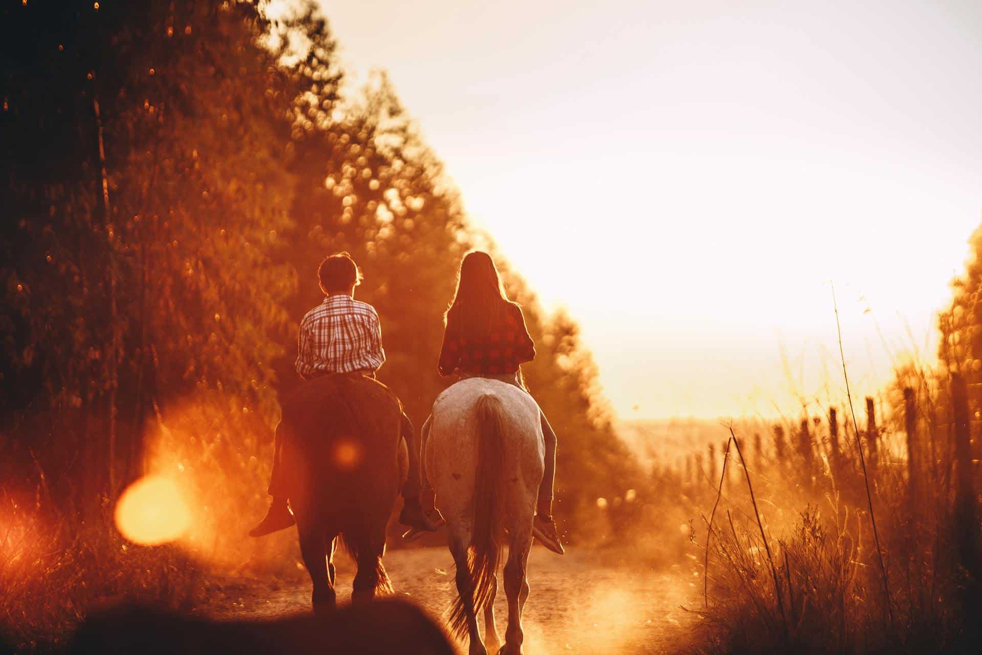 Children riding stallions in countryside at bright sundown