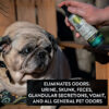 Gou Gou Pets Deodorizer Spray eliminates odors, urine, skunk, feces, glandular secretions, vomit, and all general pet odors.