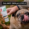 DermaSkin balance PH. level for dogs