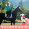 Gou Gou Pets Inner Fuel Shampoo adding zen for your pets, woman riding a horse.