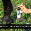 Fast acting joint spray being applied to horse leg.