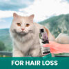 Gou Gou Pets Lotus and White Shampoo for cat hair loss