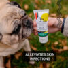 First aid ointment for dogs. Alleviates skin infections