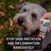 DermaSkin stop skin irritation and inflammation immediately for dogs