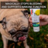 First aid magically stops bleeding and supports immune function