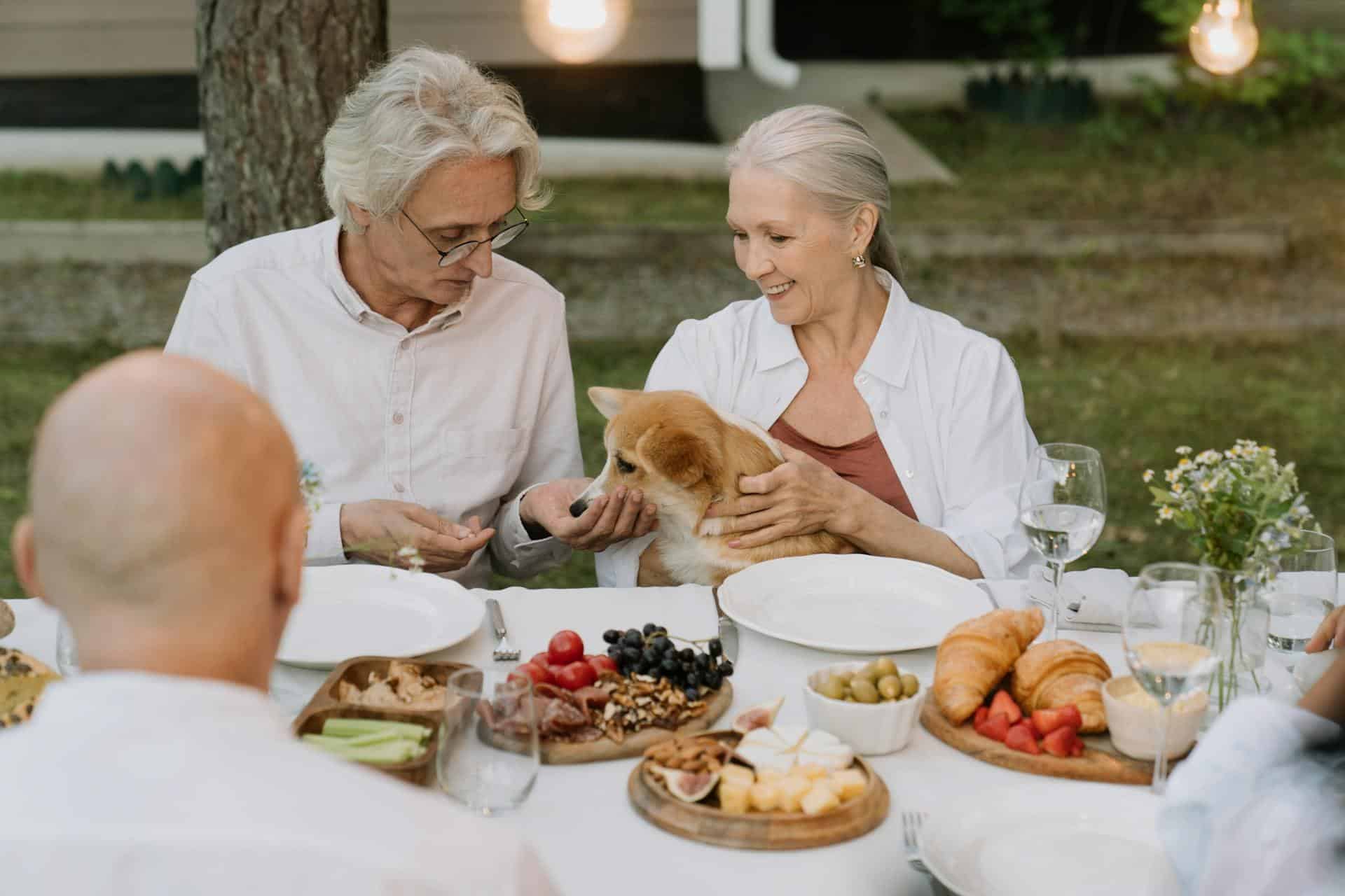 an elderly couple feeding their pet dog