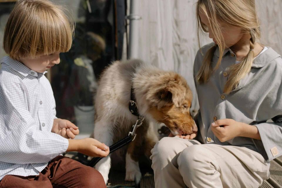 girl giving dog a snack