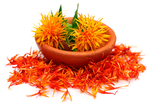 Safflower Flower